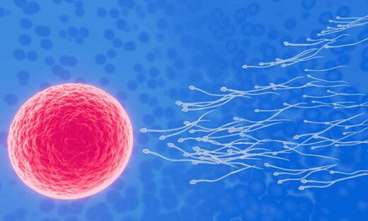 Nécrospermie Causes Thérapie Naturelle