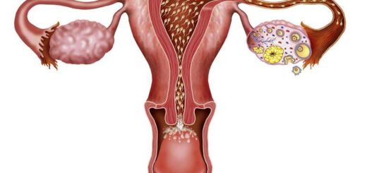 Trompes Bouchées Causes Symptômes Prévention Remède Naturel