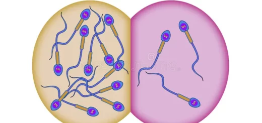 Oligospermie Sévère Causes Prevention Remède Naturel