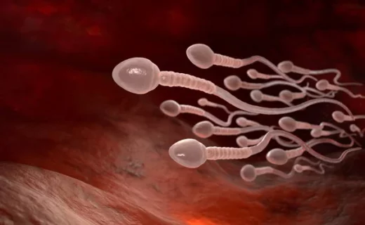 Akinétospermie Causes Symptômes Prévention Traitement Naturel