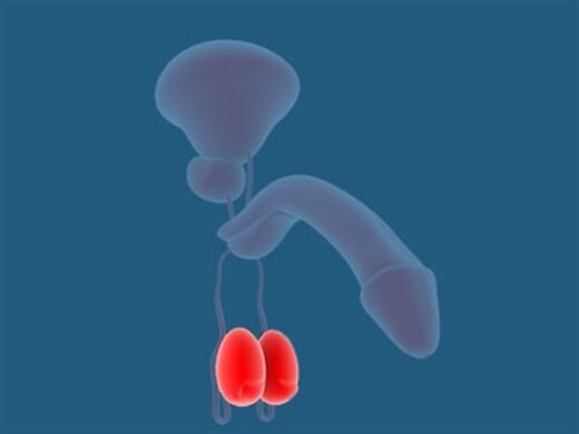 Hypogonadisme Causes Symptômes Traitement Naturel