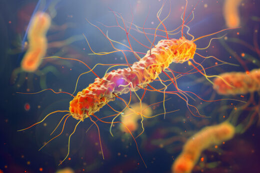 Fièvre Typhoïde Causes Symptômes Thérapie Naturelle contre Fièvre Typhoïde