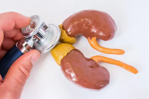 Fatigue Surrénalienne Causes Symptômes Traitement Naturel