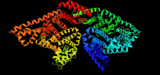 Albumine Causes Symptômes Traitement Naturel de l' Albumine