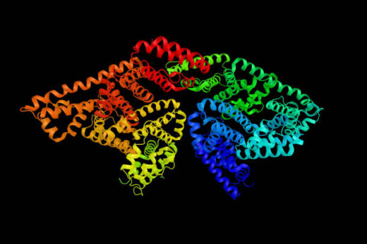 Albumine Causes Symptômes Traitement Naturel de l' Albumine