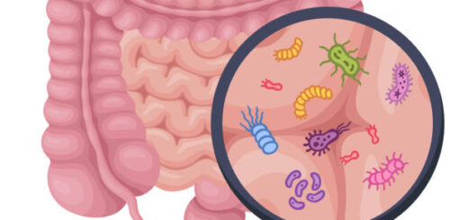 Dysbiose Intestinale Causes Symptômes Prévention Traitement Naturel