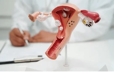 Synéchie Utérine Causes Symptômes Traitement Naturel Sûr de la Synéchie Utérine