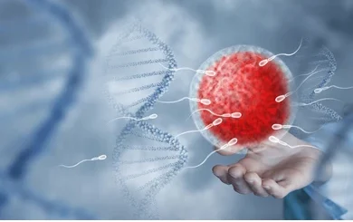 Comment Soigner Naturellement une Hypospermie par les Plantes ?