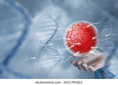 Comment Soigner Naturellement une Hypospermie par les Plantes ?