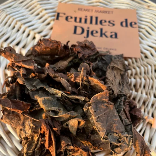 Comment Tomber Enceinte Naturellement avec les feuilles de Djèka  ?
