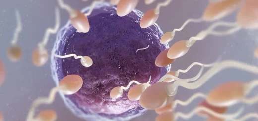 Infection du Sperme Causes Symptômes Traitement Naturel