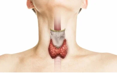 Comment Soigner Naturellement le Goitre avec les Plantes Médicinales ?