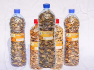 Varicocèle Traitement naturel de la Varicocèle